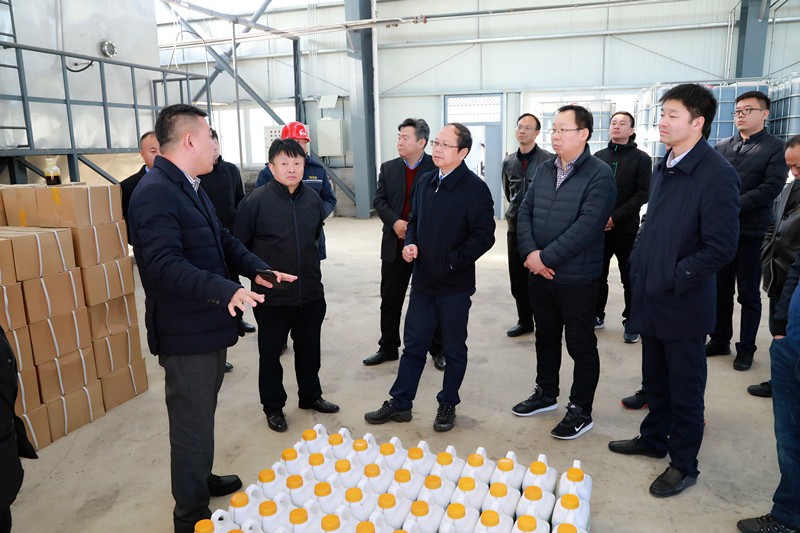 ���������ϻ�������к�«�������༯�д��óͷ���Ŀ