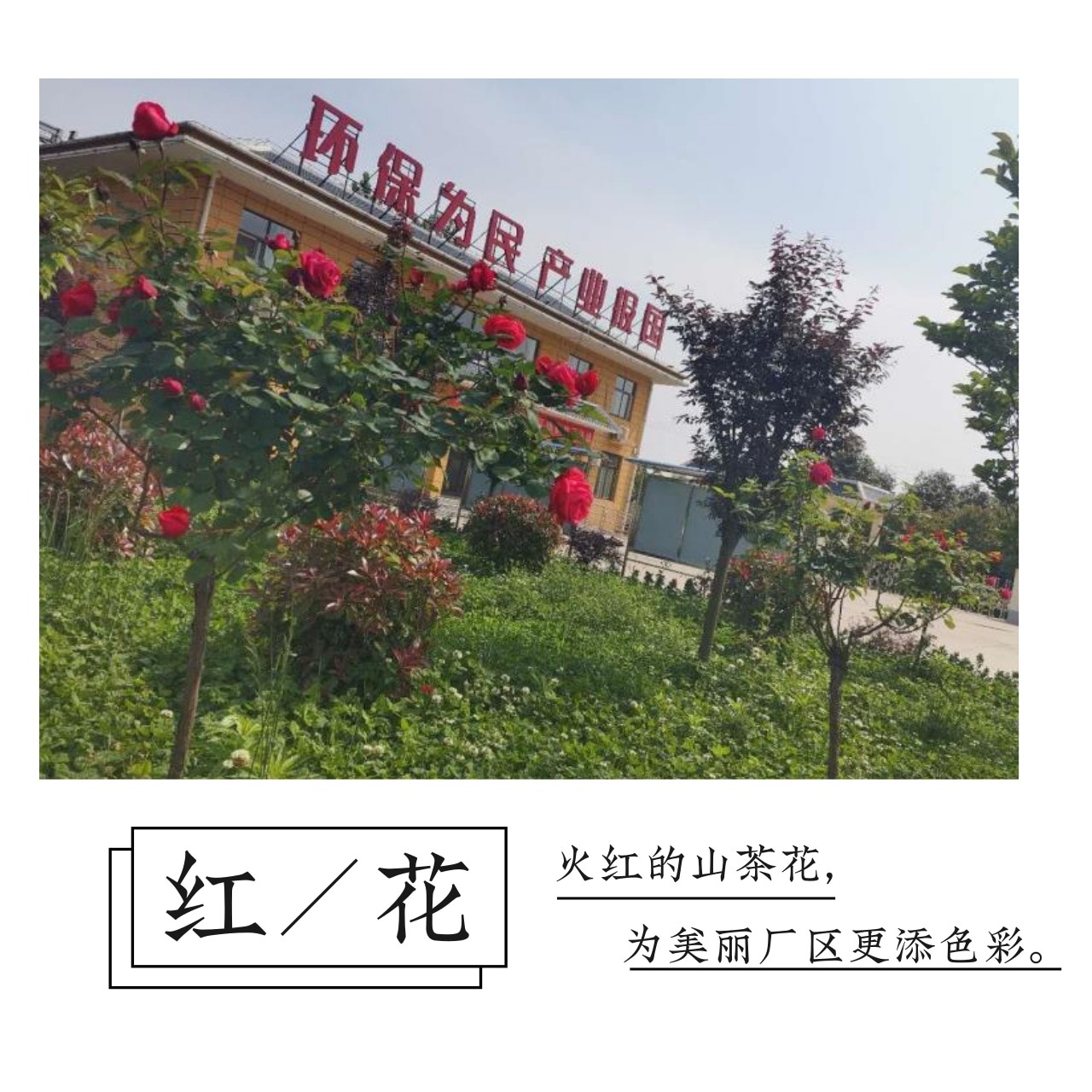 ��������������Ũ����Ӱ��Ʒ�����������Ʒչʾ��һ��