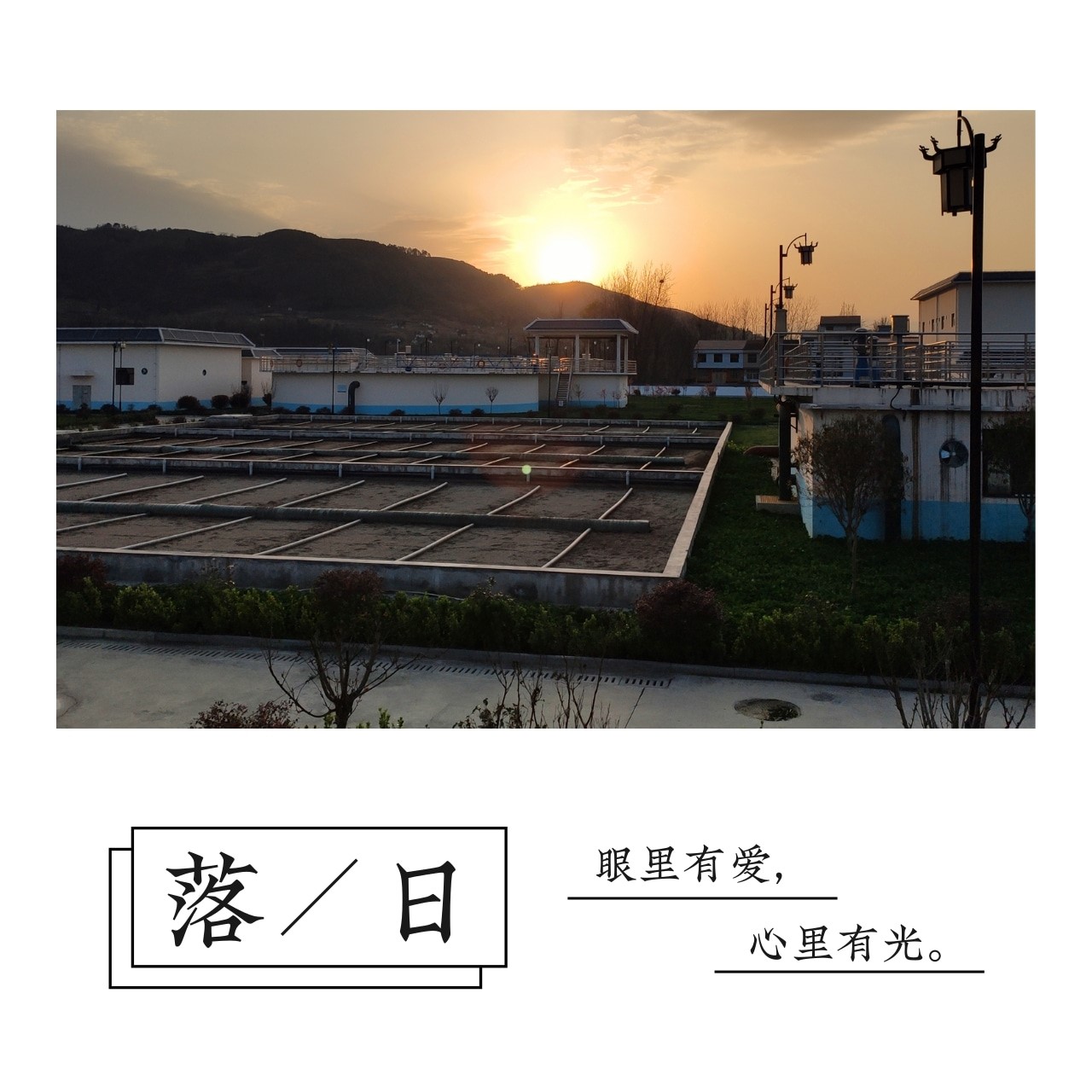 ��������������Ũ����Ӱ��Ʒ�����������Ʒչʾ��һ��