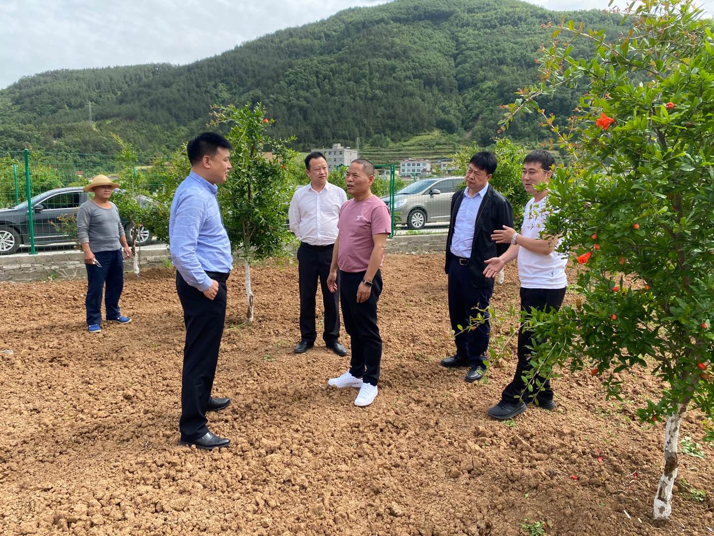 ���Ź�˾�򵼸�Ѯ���ص��й�ҵ��ƶ����