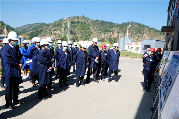 mg����ͻ�Ƽ��Ÿ���������������Ŀ��Ħ�ۻ����ְԱ�߽�������¡��̬����������ͭ��Ŀ