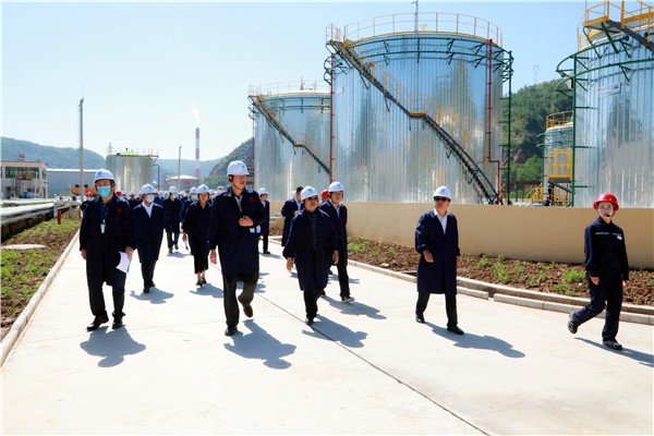 mg����ͻ�Ƽ��Ÿ���������������Ŀ��Ħ�ۻ����ְԱ�߽�������¡��̬����������ͭ��Ŀ